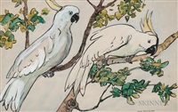 Two Cockatoos