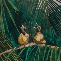 Hungry Birds