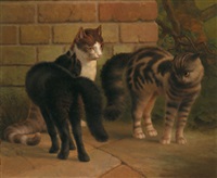 Katzen
