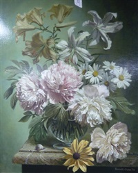Michaelmas Daisies amongst other flowers in..., 1978 Michaelmas Daisies amongst other flowers in..., 1978