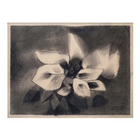 Plant Series, 1976