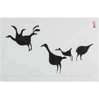 November ravens, 1960