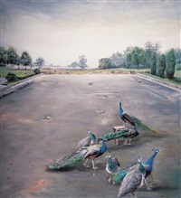 Peacocks, 2006