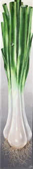 Scallions