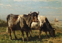 Cattle in a water meadow