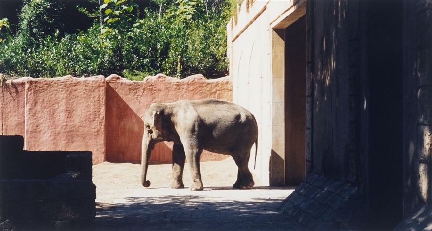 Zoologischer Garten Hannover I Zoo Hannover I By Candida Hofer On