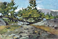 Paesaggio