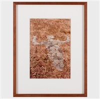 Untitled, from Silueta, 1976