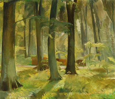 visit to a forest essay essay on forest for class 1