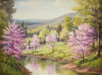 Blooming Redbuds,