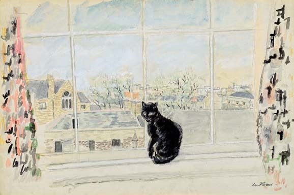 cat on window sill