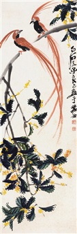 桂花绶带 , 1973