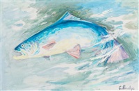 Jumping salmon