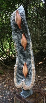 Seed Pod