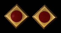 Earrings (pair)
