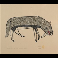 Spotted wolf, 1971