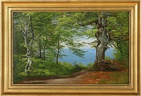 Forest glade with a view to the sea Forest glade with a view to the sea