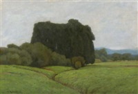 Baumlandschaft