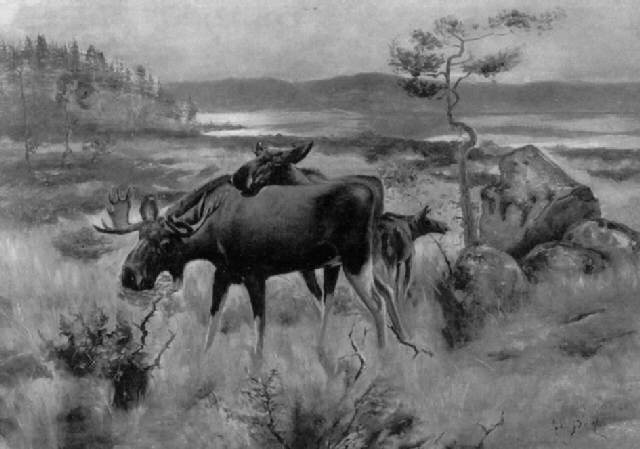 Skandinavische Landschaft Mit Elchen By Axel Borg On Artnet