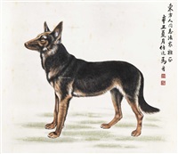 家犬, 1961
