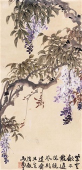 紫藤