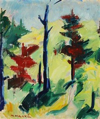 Forest scenery