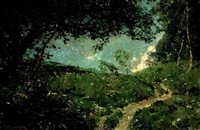 Bild mit grüner Wiese