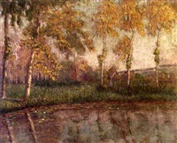 The lily pond