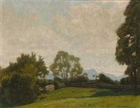 Weide in sommerlicher Voralpenlandschaft Weide in sommerlicher Voralpenlandschaft