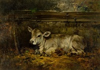 Vitellino