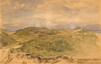 Dünenlandschaft