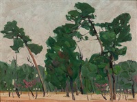 Florida Landscape