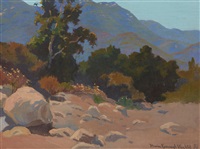 Rocky Arroyo