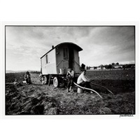 Harvest / Ernte, 1967