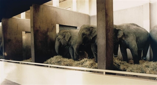 Zoologischer Garten Hamburg als Ihre Referenz