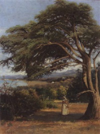 Nordafrikanische Küstenlandschaft