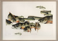 Brooktrout, eel, minnow, 1988