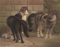 The competitors