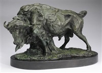 Bison