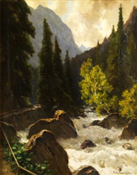 Wildbach in den Bergen
