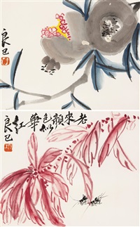 榴开百子、老来红
