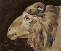 Studie eines Widderkopfs, 1800