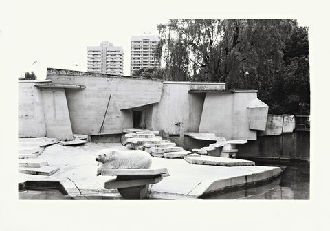 Zoologischer Garten Koln 1991 By Candida Hofer On Artnet