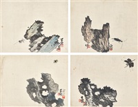 Rock and Insects