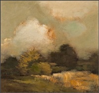 Shaded landscape