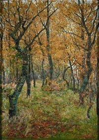 Herbstliches Waldinneres