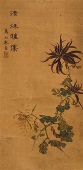  CHRYSANTHEMUM