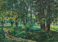 Park landscape