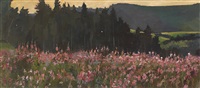 Blühendes Feld von Weidenrosen am Waldrand des...