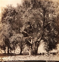 Selected images (84 works), 1880–1906